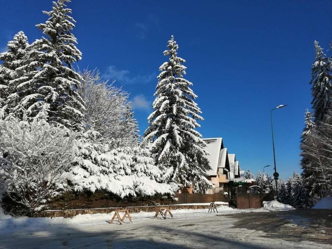 Pensiunea Colina Poiana Brasov Bagian luar foto