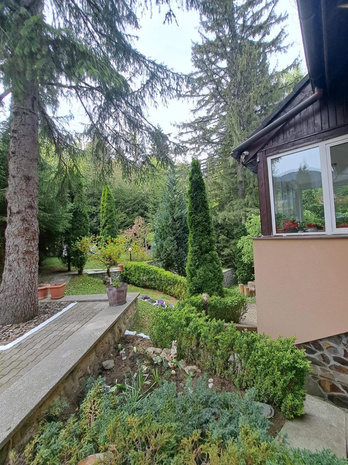 Pensiunea Colina Poiana Brasov Bagian luar foto