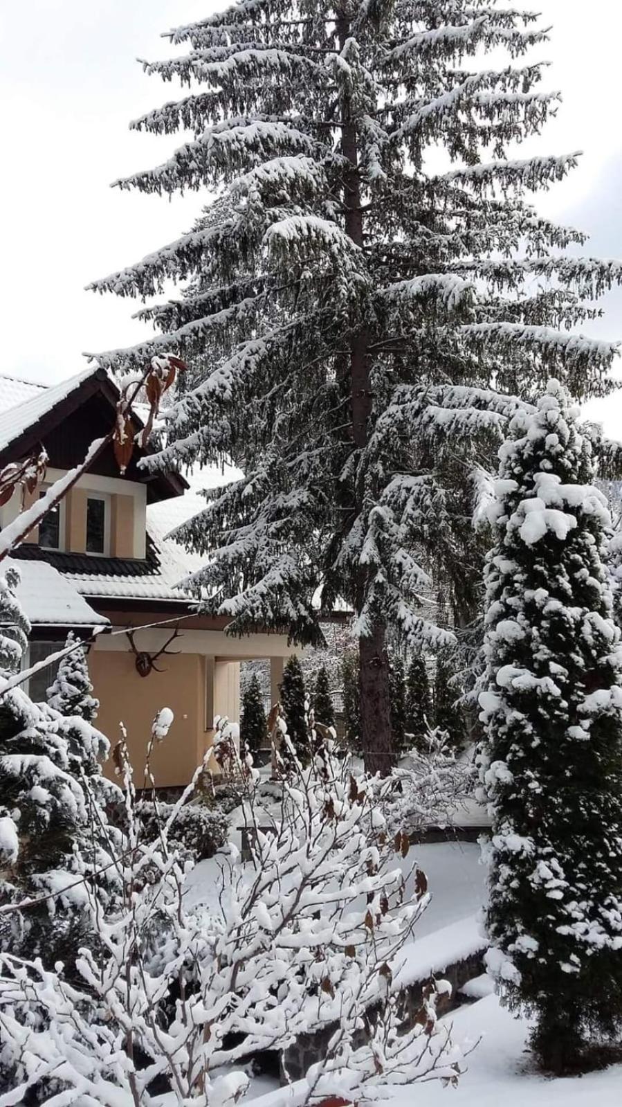 Pensiunea Colina Poiana Brasov Bagian luar foto