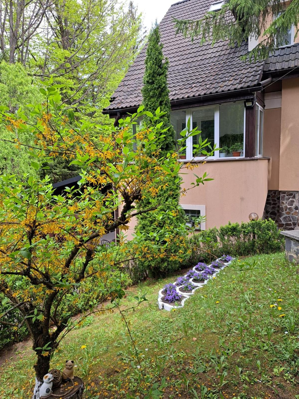 Pensiunea Colina Poiana Brasov Bagian luar foto