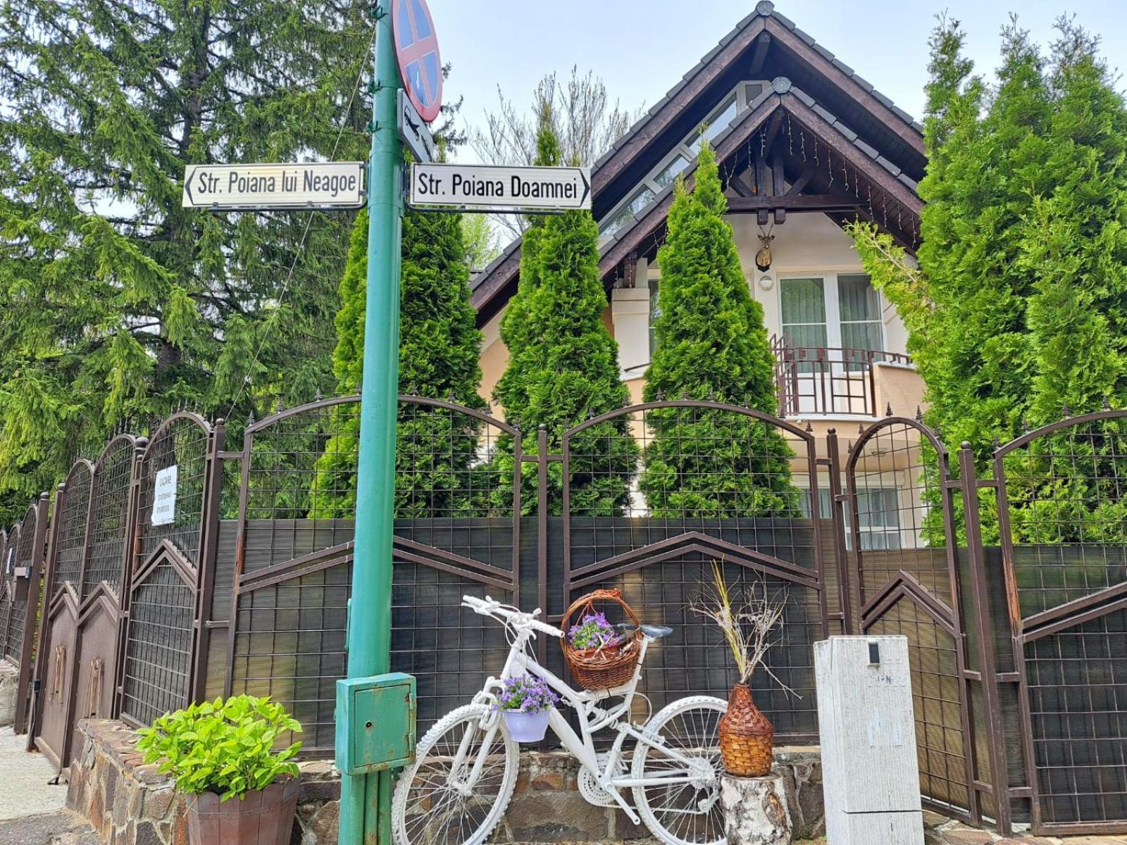 Pensiunea Colina Poiana Brasov Bagian luar foto