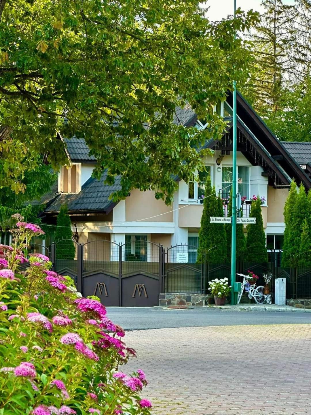 Pensiunea Colina Poiana Brasov Bagian luar foto