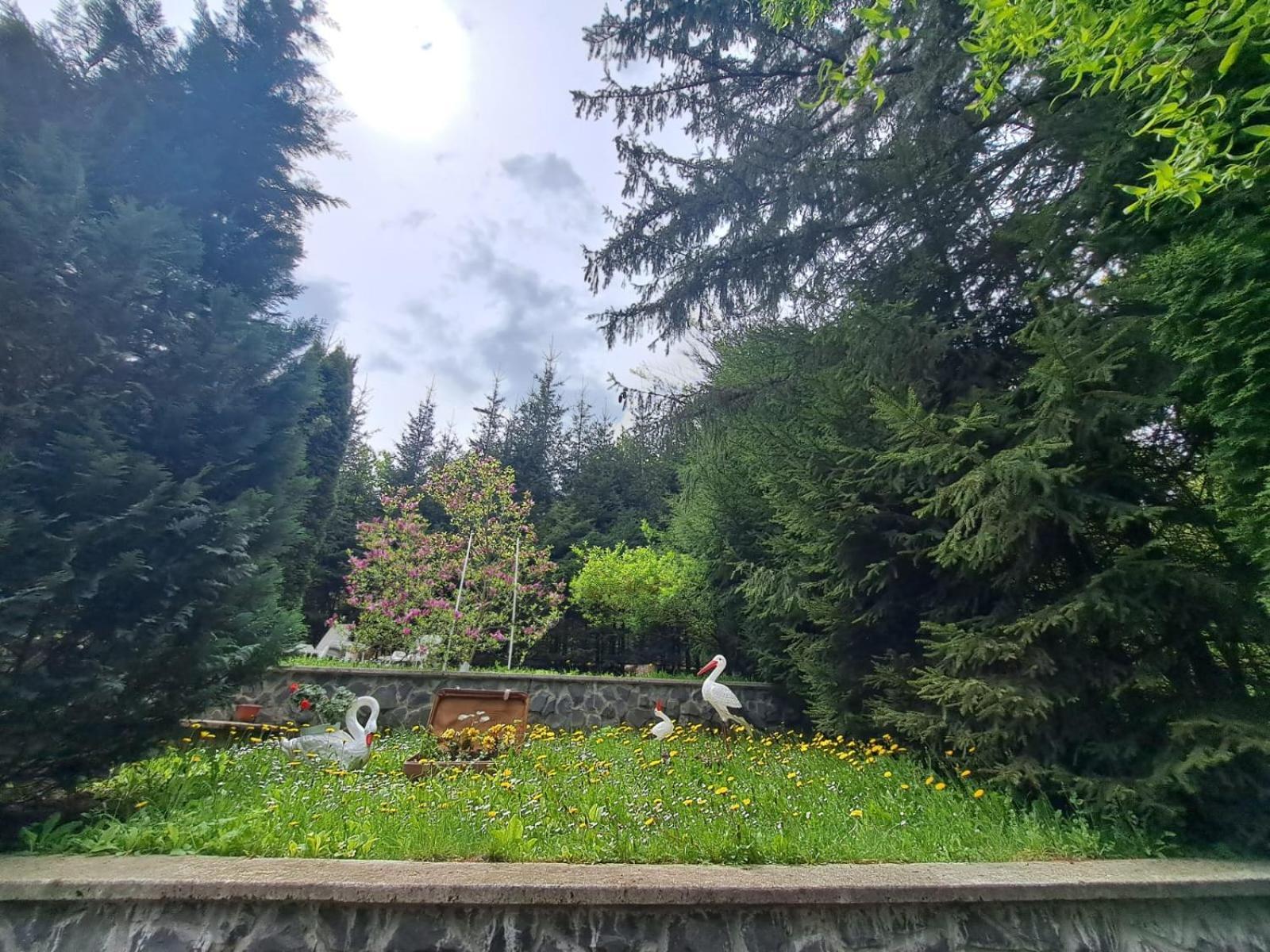 Pensiunea Colina Poiana Brasov Bagian luar foto