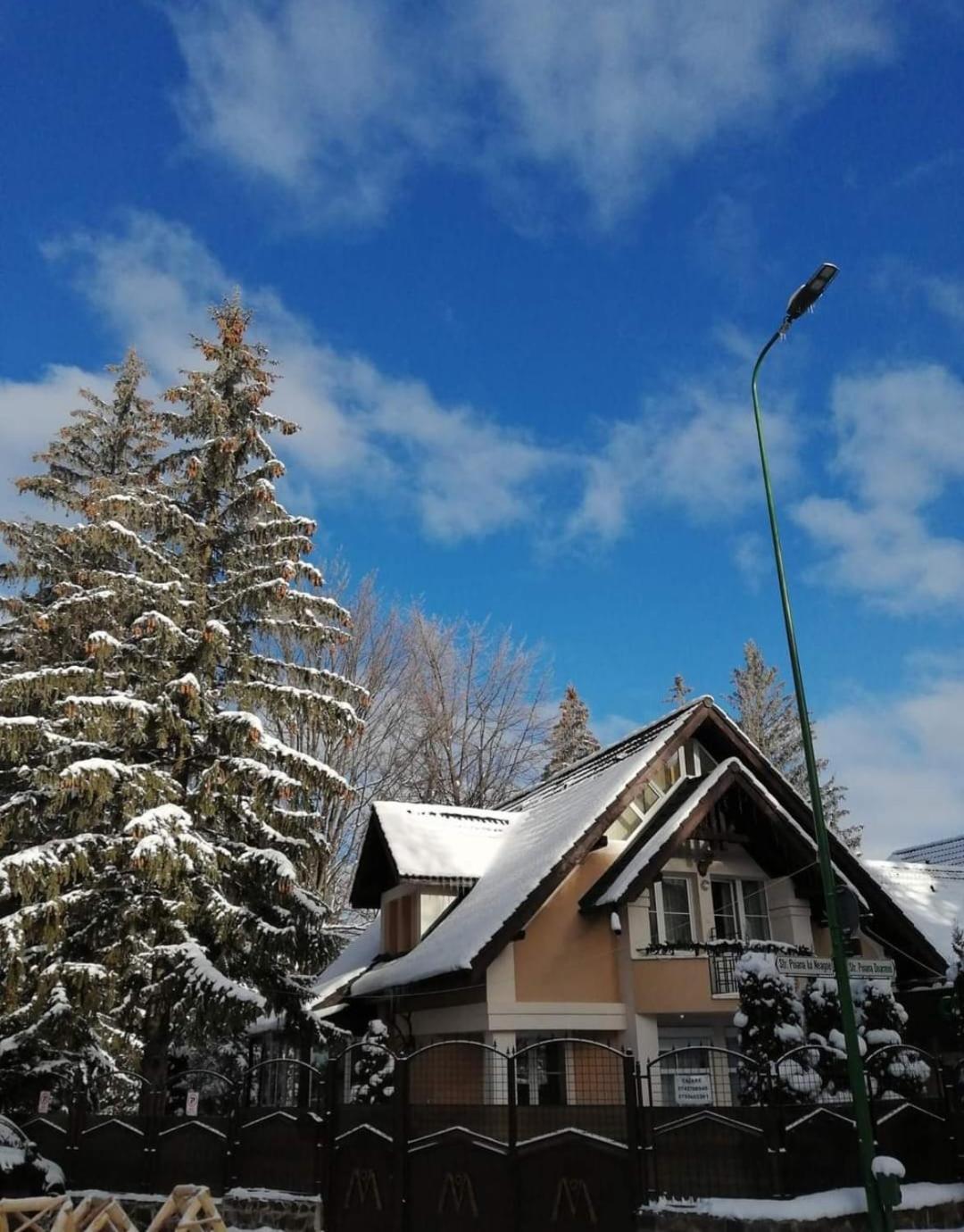 Pensiunea Colina Poiana Brasov Bagian luar foto