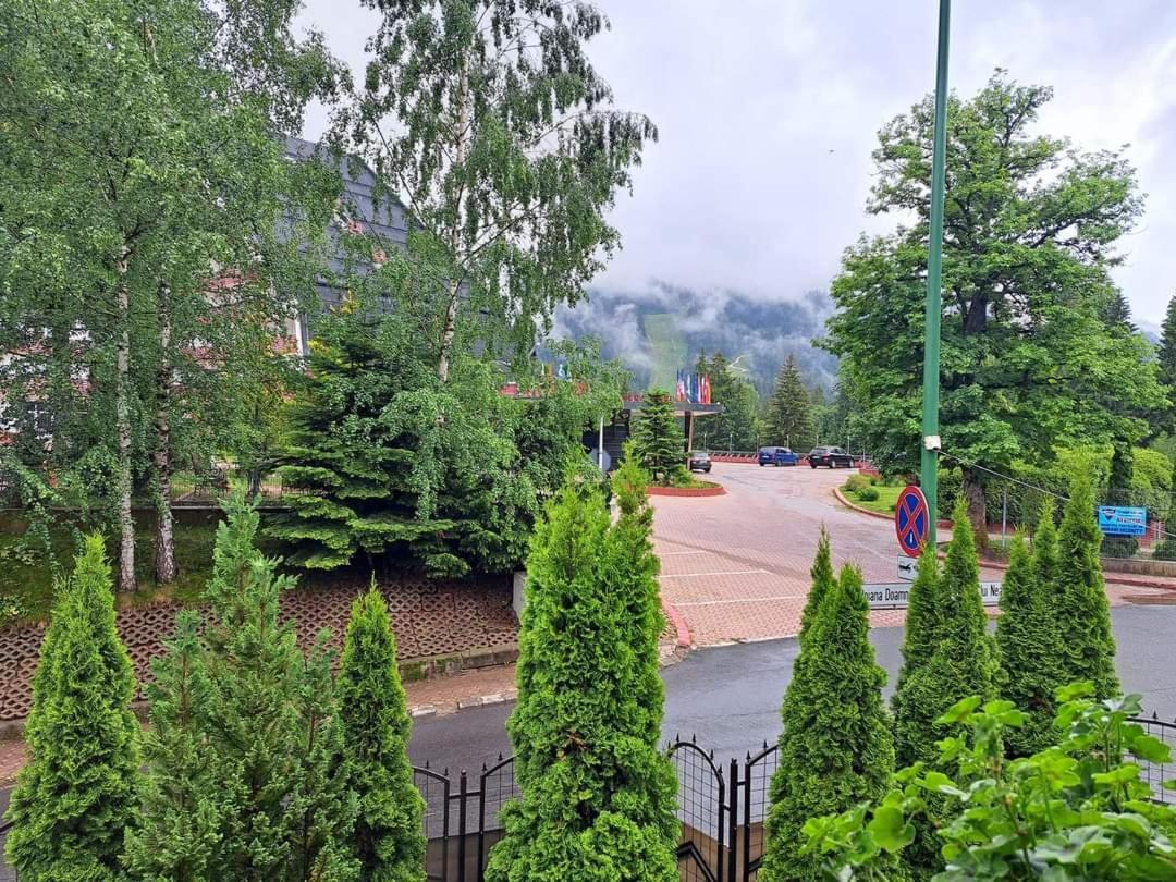 Pensiunea Colina Poiana Brasov Bagian luar foto