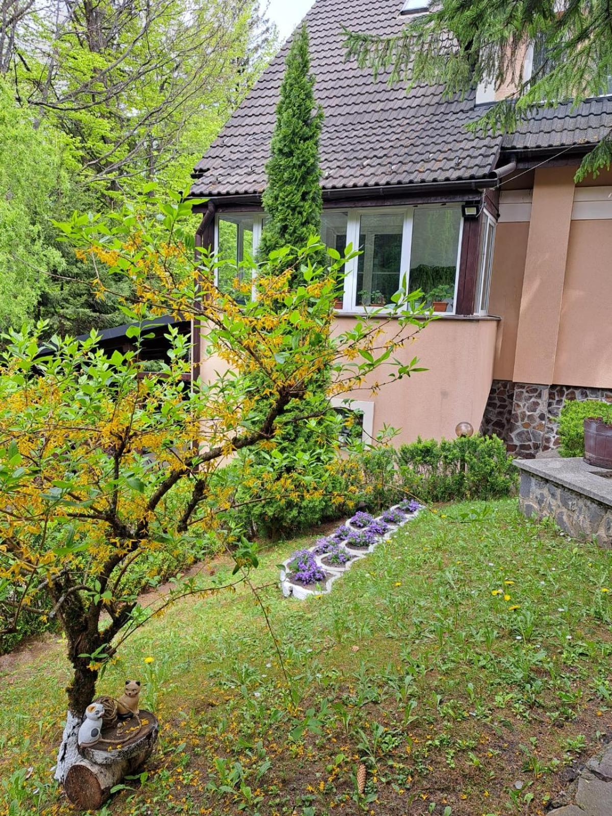 Pensiunea Colina Poiana Brasov Bagian luar foto
