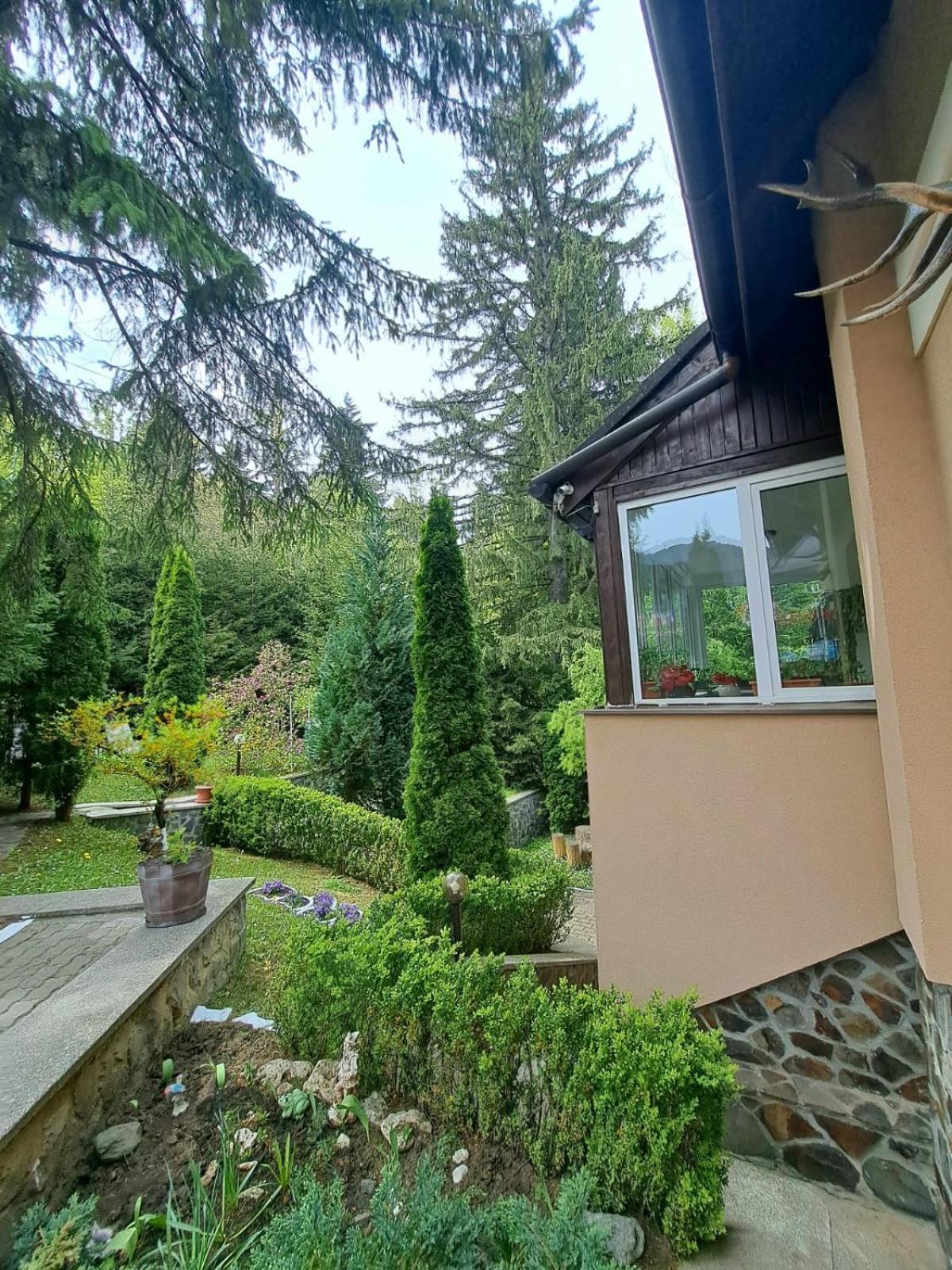 Pensiunea Colina Poiana Brasov Bagian luar foto