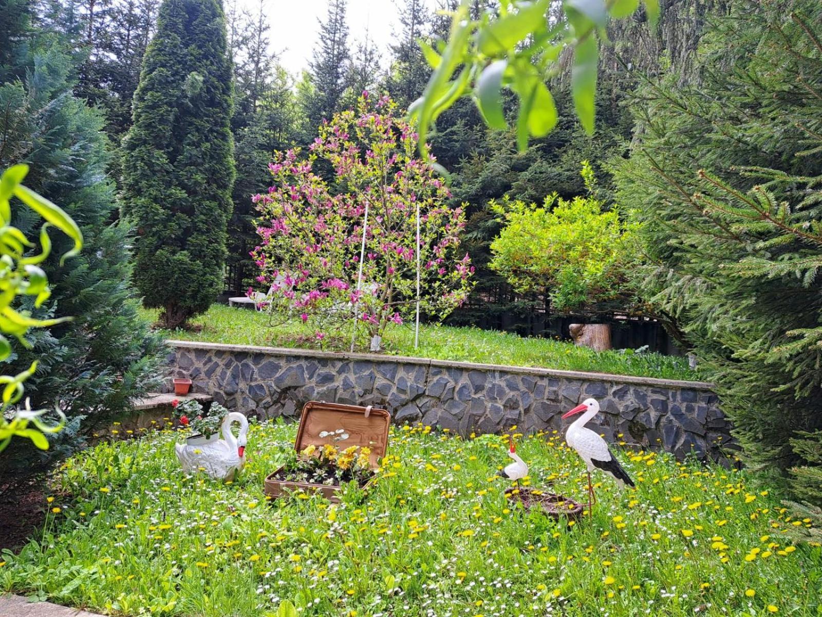 Pensiunea Colina Poiana Brasov Bagian luar foto