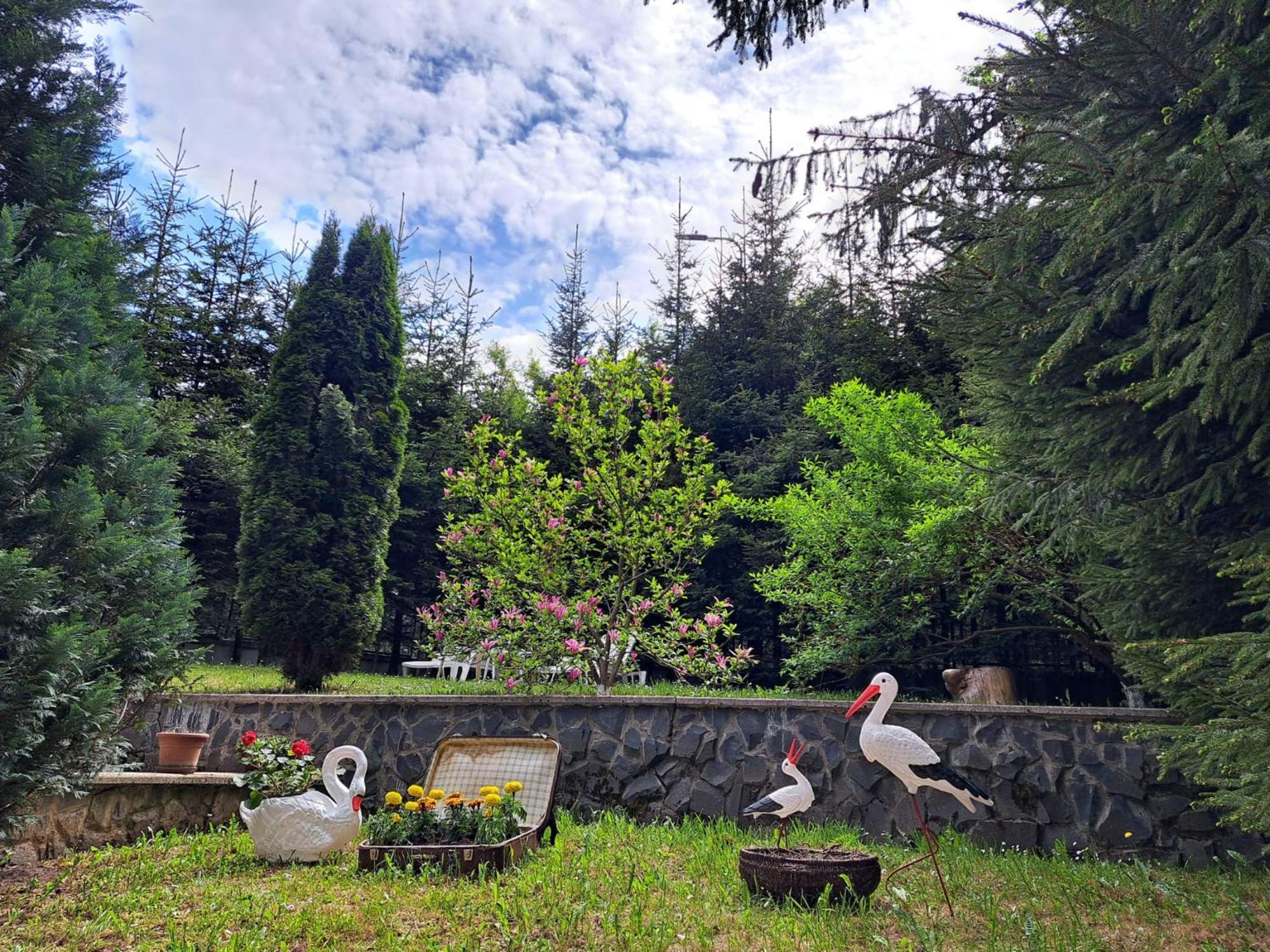 Pensiunea Colina Poiana Brasov Bagian luar foto