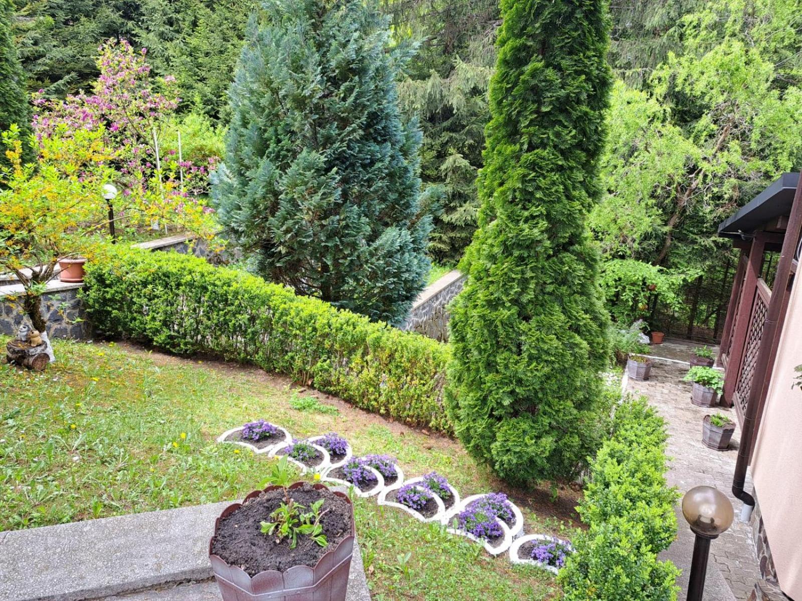 Pensiunea Colina Poiana Brasov Bagian luar foto