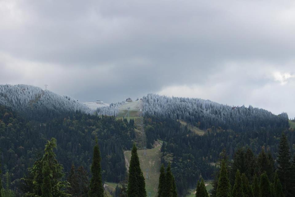 Pensiunea Colina Poiana Brasov Bagian luar foto