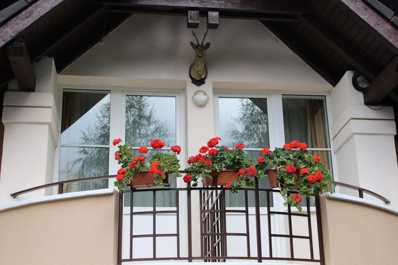 Pensiunea Colina Poiana Brasov Bagian luar foto