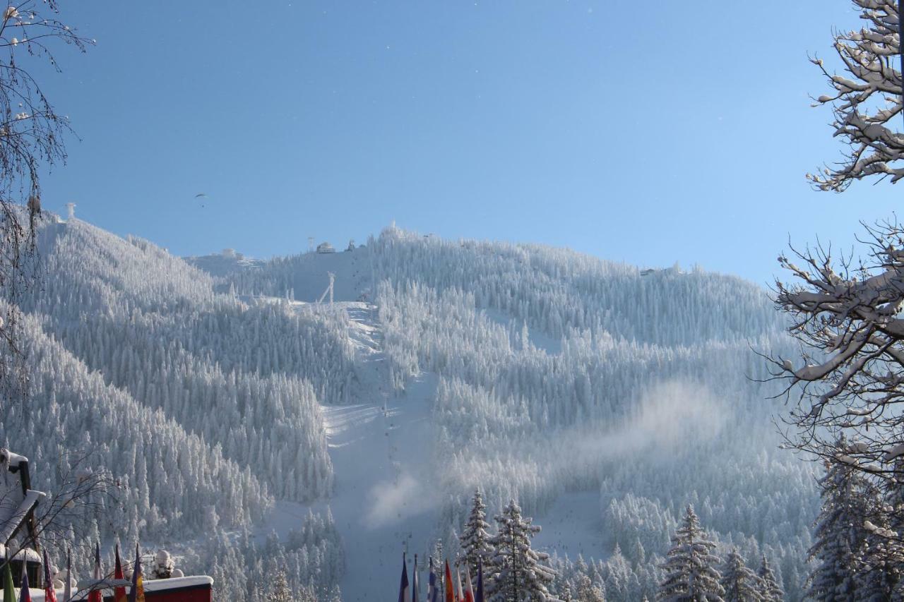 Pensiunea Colina Poiana Brasov Bagian luar foto